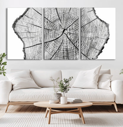 98709-MGV-CV-60X30-3P-Tree Ring Wall Art – Black and White Canvas Print Rustic Wood Cross Section, Minimal Nature Inspired Decor for Living Room,