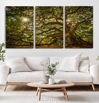 57983-MGV-CV-60X30-3P-Angel Oak Tree Wall Art Canvas Print, Framed Oak Tree Art Picture Print, Angel Oak Perfect Rustic Nature Decor Artwork