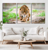 75066-MGV-CV-60X30-3P-Leopard Wall Art Canvas Print, Framed Wild Animal Art Picture Print, Blue Eye Leopard Perfect Wild Minimal Decor Artwork