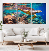 66614-MGV-CV-36X24-Sea Turtle Wall Art – Hawksbill Turtle Swimming Over Coral Reef Canvas Print, Ocean Marine Life Decor for Beach House, Coastal