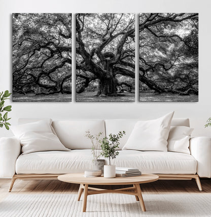 132944706-MGV-CV-36X24-Ancient Tree Wall Art – Black and White Photography Canvas Print Featuring Majestic Twisting Branches, Rustic Nature Artwork for