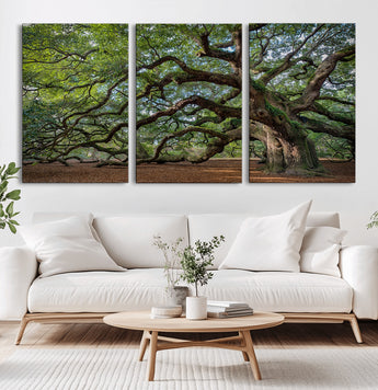 MGV-CV-60X30-3P - Historic Tree Wall Art Canvas Print, Framed Mossy Tree Art Picture Print, Twisted Branches Perfect Nature Southern Decor Artwork