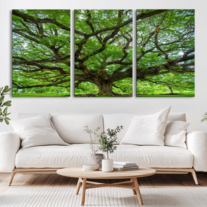 49375306-MGV-CV-36X24-Ancient Tree Wall Art Canvas Print, Framed Sprawling Branches Art Picture Print, Gnarling Tree Perfect Earthy Natural Decor