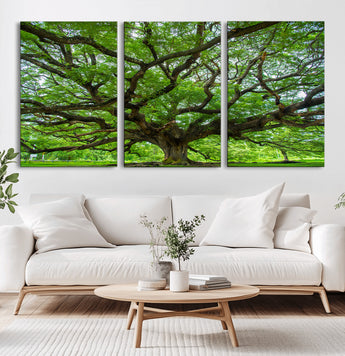 49375306-MGV-CV-36X24-Ancient Tree Wall Art Canvas Print, Framed Sprawling Branches Art Picture Print, Gnarling Tree Perfect Earthy Natural Decor