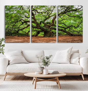 51255351-MGV-CV-36X24-Ancient Tree Wall Art – Majestic Oak Canvas Print, Large Nature Photography, Sacred Forest Landscape Wall Décor, Wisdom Tree