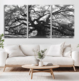 81655611-MGV-CV-36X24-Ancient Oak Wall Art Canvas Print, Framed Twisted Branches Art Picture Print, Gnarled Tree Perfect Moody Nature Decor Artwork