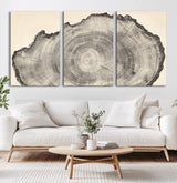 98921313-MGV-CV-60X30-3P-Tree Ring Wall Art Canvas Print, Framed Wood Slice Art Picture Print, Minimalist Wood Perfect Rustic Academic Decor Artwork