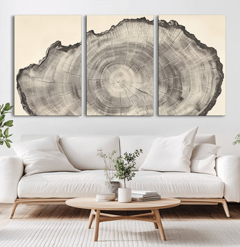 98921313-MGV-CV-60X30-3P-Tree Ring Wall Art Canvas Print, Framed Wood Slice Art Picture Print, Minimalist Wood Perfect Rustic Academic Decor Artwork