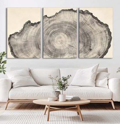 98921313-MGV-CV-60X30-3P-Tree Ring Wall Art Canvas Print, Framed Wood Slice Art Picture Print, Minimalist Wood Perfect Rustic Academic Decor Artwork