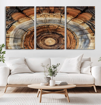 15184146-MGV-CV-60X30-3P-Tree Rings Wall Art Canvas Print, Framed Wood Texture Art Picture Print, Rustic Pattern Perfect Rustic Organic Decor Artwork