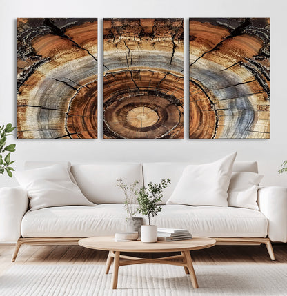 15184146-MGV-CV-36X24-Tree Rings Wall Art Canvas Print, Framed Wood Texture Art Picture Print, Rustic Pattern Perfect Rustic Organic Decor Artwork