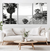 89458520-MGV-CV-36X24-Palm Trees Wall Art Canvas Print, Framed Coastal View Art Picture Print, Ocean Horizon Perfect Monochrome Coast Decor Artwork