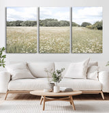 43258946-MGV-CV-60X30-3P-Daisy Field Wall Art Canvas Print, Framed Pastel Flower Art Picture Print, Meadow Bloom Perfect Scandinavian Minimalist Decor