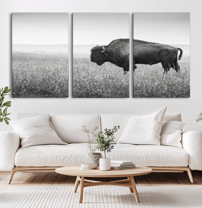 28435251-MGV-CV-36X24-Bison In Prairie Wall Art Canvas Print, Framed Rustic Wildlife Art Picture Print, Wild Buffalo Perfect Rustic Western Decor