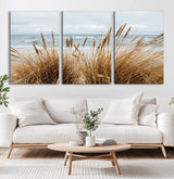14270839-MGV-CV-60X30-3P-Beach Grass Wall Art Canvas Print, Framed Coastal Dunes Art Picture Print, Dune Grass Perfect Coastal Minimalist Decor Artwork