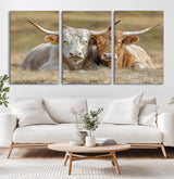 53388593-MGV-CV-60X30-3P-Cow Photography Wall Art Canvas Print, Framed Rustic Animal Decor Art Picture Print, Texas Cow Pair Perfect Western Farmhouse
