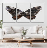 99831147-MGV-CV-36X24-Spotted Butterfly Wall Art Canvas Print, Framed Neutral Insect Theme Art Picture Print, Earthy Wing Pattern Perfect Modern Rustic