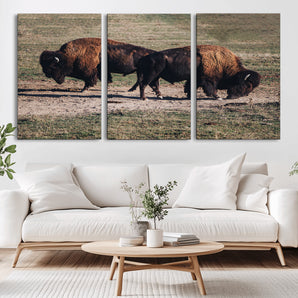 58141885-MGV-CV-36X24-Bison Photography Wall Art Canvas Print, Framed Western Wildlife Art Picture Print, Modern Ranch Perfect Western Rustic Decor