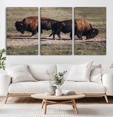 58141885-MGV-CV-36X24-Bison Photography Wall Art Canvas Print, Framed Western Wildlife Art Picture Print, Modern Ranch Perfect Western Rustic Decor