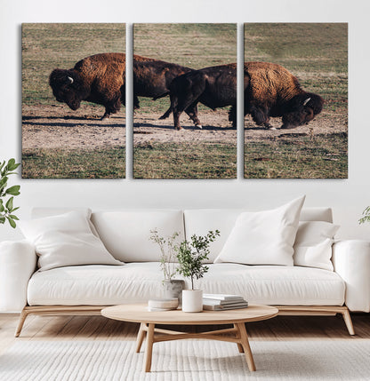 58141885-MGV-CV-36X24-Bison Photography Wall Art Canvas Print, Framed Western Wildlife Art Picture Print, Modern Ranch Perfect Western Rustic Decor