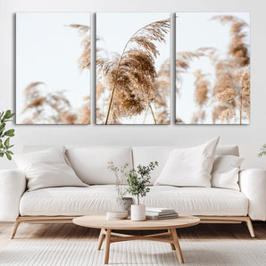 17019393-MGV-CV-36X24-Pampas Grass Wall Art Canvas Print, Framed Neutral Tones Art Picture Print, Minimalist Nature Perfect Boho Minimalist Decor