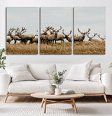 42170220-MGV-CV-36X24-Elk Herd Wall Art Canvas Print, Framed Wildlife Photography Art Picture Print, Majestic Antlers Perfect Rustic Wildlife Decor