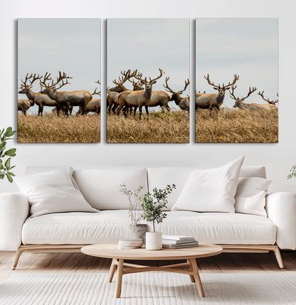 42170220-MGV-CV-36X24-Elk Herd Wall Art Canvas Print, Framed Wildlife Photography Art Picture Print, Majestic Antlers Perfect Rustic Wildlife Decor