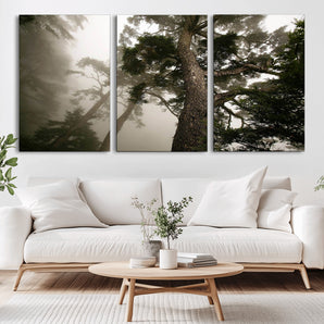 87969493-MGV-CV-36X24-Forest Wall Art – Misty Tall Trees Canvas Print, Dramatic Woodland Photography Decor for Bedroom, Living Room, Office, Cabin,