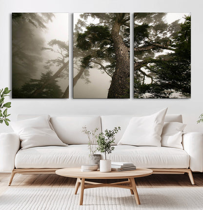 87969493-MGV-CV-36X24-Forest Wall Art – Misty Tall Trees Canvas Print, Dramatic Woodland Photography Decor for Bedroom, Living Room, Office, Cabin,