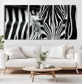 43631-MGV-CV-36X24-Zebra Wall Art – Black & White Safari Wildlife Canvas Print, Modern Animal Photography Decor for Living Room, Office, or Bedroom