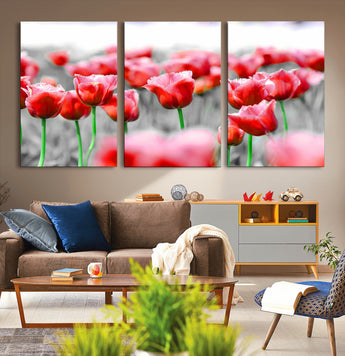 44554-MGV-CV-36X24-Vibrant red tulips stand out beautifully against a black-and-white background, making a striking decor piece perfect for any home