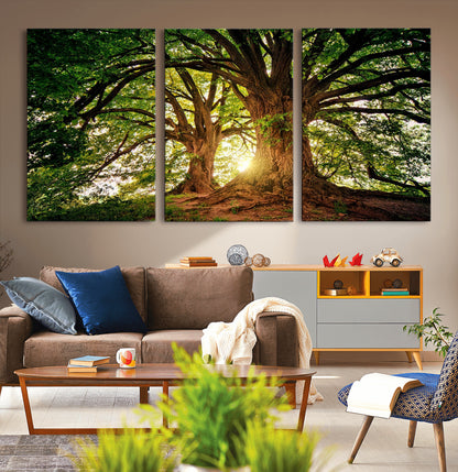 52150-MGV-CV-36X24-Majestic Tree Wall Art – Large Nature Canvas Print with Sunlight Through Branches, Rustic Forest Decor for Living Room, Bedroom or