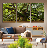 29407-MGV-CV-36X24-Ancient Oak Tree Wall Art – Majestic Nature Canvas Print, Large Tree Photography Decor for Living Room or Office
