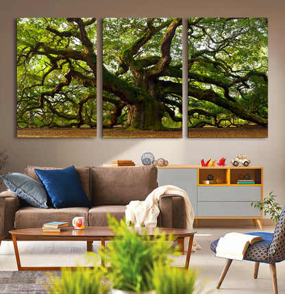 29407-MGV-CV-36X24-Ancient Oak Tree Wall Art – Majestic Nature Canvas Print, Large Tree Photography Decor for Living Room or Office