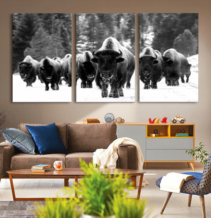 62434-MGV-CV-36X24-Bison Herd Wall Art – Majestic Black and White Buffalo Canvas Print, Wildlife Nature Photography Decor for Living Room, Office or