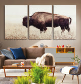 48406-MGV-CV-36X24-American Bison Wall Art – Rustic Buffalo Canvas Print in Prairie Field, Western Wildlife Photography Decor for Cabin, Lodge,