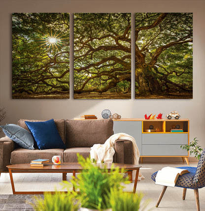 57983-MGV-CV-36X24-Angel Oak Tree Wall Art Canvas Print, Framed Oak Tree Art Picture Print, Angel Oak Perfect Rustic Nature Decor Artwork