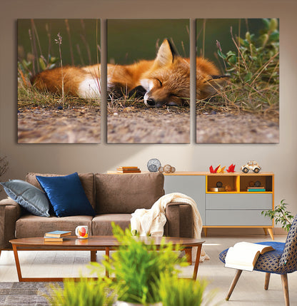 25085-MGV-CV-36X24-Sleeping Fox Wall Art Canvas Print, Framed Rustic Fox Art Picture Print, Wildlife Animal Perfect Rustic Farmhouse Decor Artwork