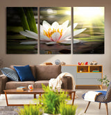 40478-MGV-CV-36X24-Water Lily Wall Art – White Lotus Flower Canvas Print with Sunlight Reflection, Serene Botanical Artwork for Living Room, Bedroom,
