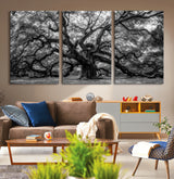 132944706-MGV-CV-36X24-Ancient Tree Wall Art – Black and White Photography Canvas Print Featuring Majestic Twisting Branches, Rustic Nature Artwork for