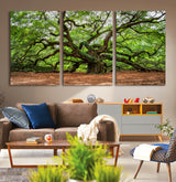 51255351-MGV-CV-36X24-Ancient Tree Wall Art – Majestic Oak Canvas Print, Large Nature Photography, Sacred Forest Landscape Wall Décor, Wisdom Tree