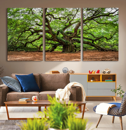 51255351-MGV-CV-36X24-Ancient Tree Wall Art – Majestic Oak Canvas Print, Large Nature Photography, Sacred Forest Landscape Wall Décor, Wisdom Tree