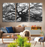 81655611-MGV-CV-36X24-Ancient Oak Wall Art Canvas Print, Framed Twisted Branches Art Picture Print, Gnarled Tree Perfect Moody Nature Decor Artwork
