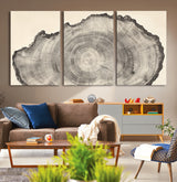 98921313-MGV-CV-36X24-Tree Ring Wall Art Canvas Print, Framed Wood Slice Art Picture Print, Minimalist Wood Perfect Rustic Academic Decor Artwork