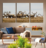 42170220-MGV-CV-36X24-Elk Herd Wall Art Canvas Print, Framed Wildlife Photography Art Picture Print, Majestic Antlers Perfect Rustic Wildlife Decor