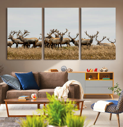 42170220-MGV-CV-36X24-Elk Herd Wall Art Canvas Print, Framed Wildlife Photography Art Picture Print, Majestic Antlers Perfect Rustic Wildlife Decor