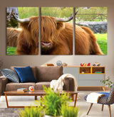 68411138-MGV-CV-36X24-Farmhouse Wall Art – Highland Cow Canvas Print, Rustic Country Cattle Photography Decor for Bedroom, Living Room, Office, Ranch,