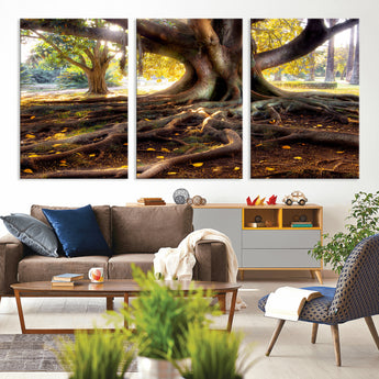 53335-MGV-CV-36X24-Majestic Tree with Sprawling Roots Wall Art – Serene Sunlit Park Scene, Nature Canvas Print, Perfect for Living Room, Office or