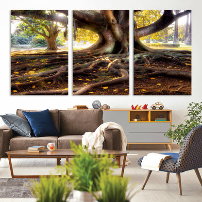 53335-MGV-CV-36X24-Majestic Tree with Sprawling Roots Wall Art – Serene Sunlit Park Scene, Nature Canvas Print, Perfect for Living Room, Office or
