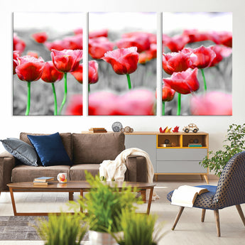 44554-MGV-CV-36X24-Vibrant red tulips stand out beautifully against a black-and-white background, making a striking decor piece perfect for any home